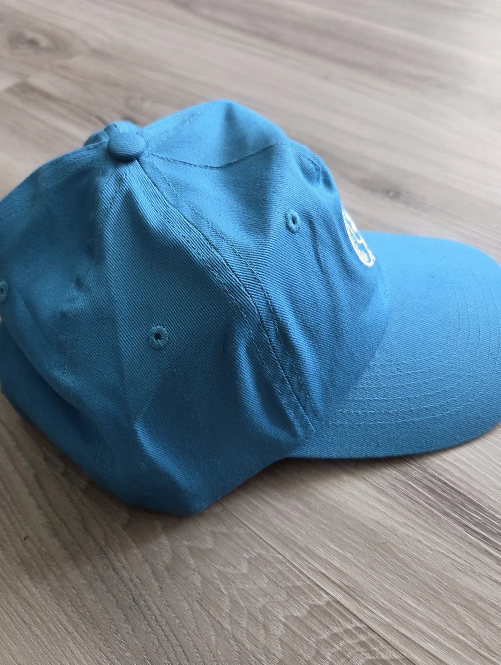 Royal Caribbean‎ Pickleball Club Rare Baseball Hat Cap Aqua Blue Adjustable Cap